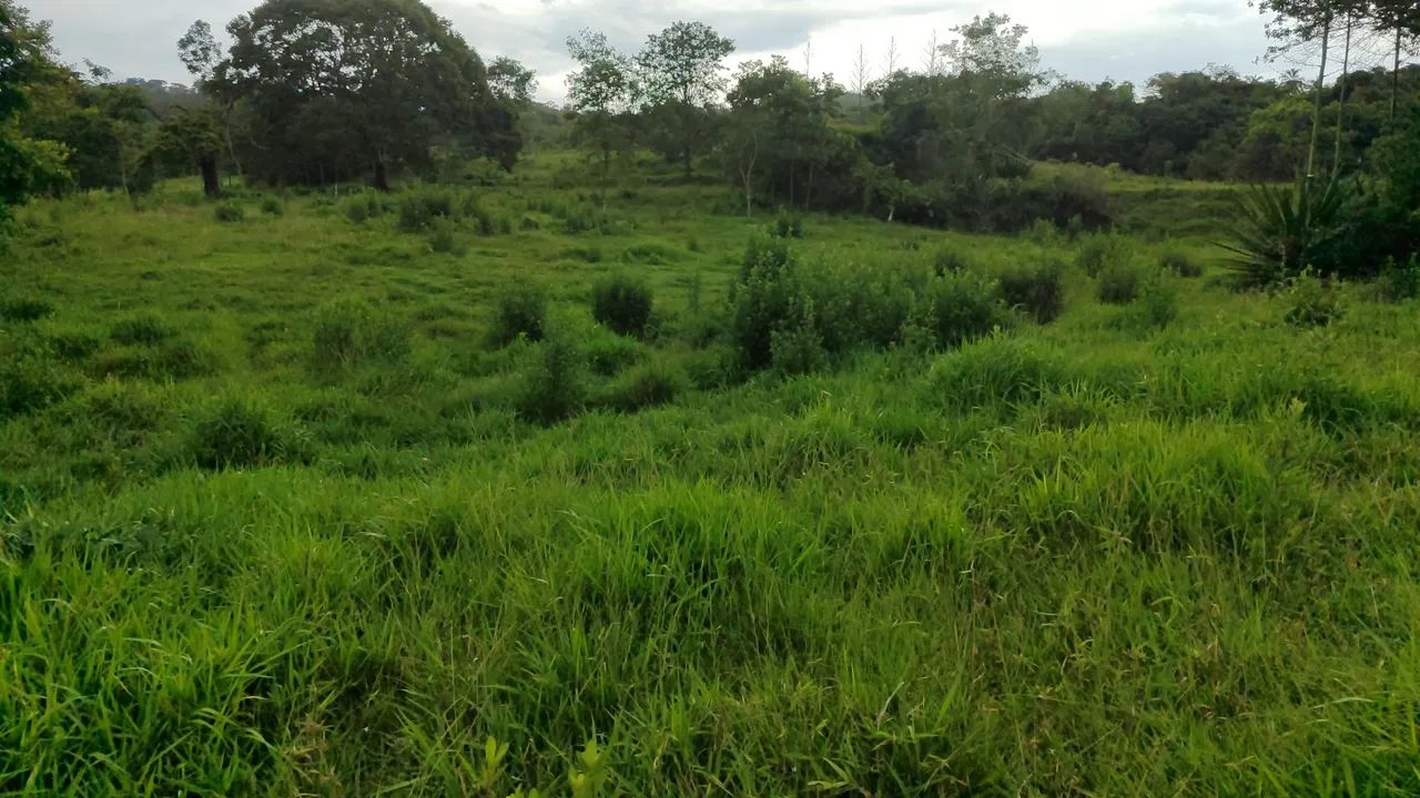Chácara em Cezarina  - Foto 2