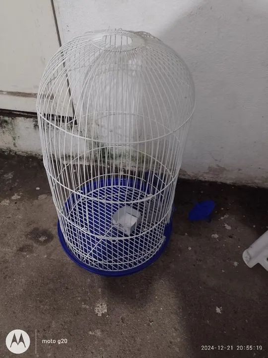 Gaiola para pássaros