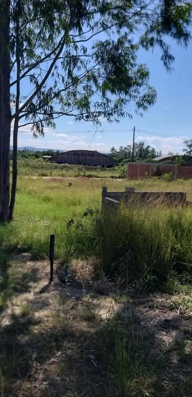 Terreno  - Foto 5