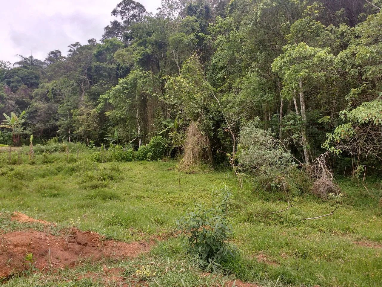 Procurando sossego? Ótimo terreno para sítio perto de BH - Foto 9