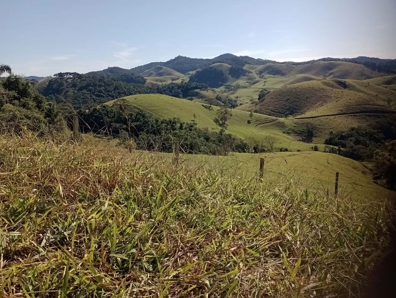Fazenda disponível com 800 hectares. - Foto 5