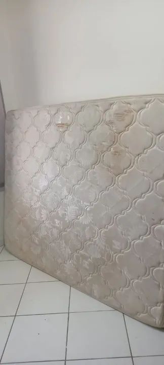 Cana queen casal  - Foto 4