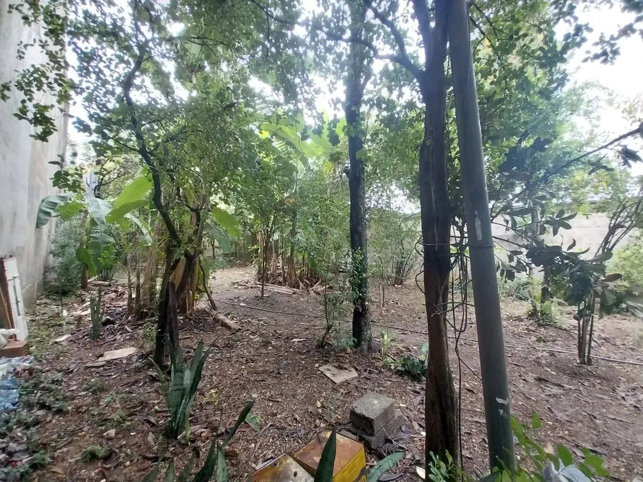 TERRENO PLANO NO PECHINCHA EM JPA COM 370 METROS QUADRADOS. - Foto 2
