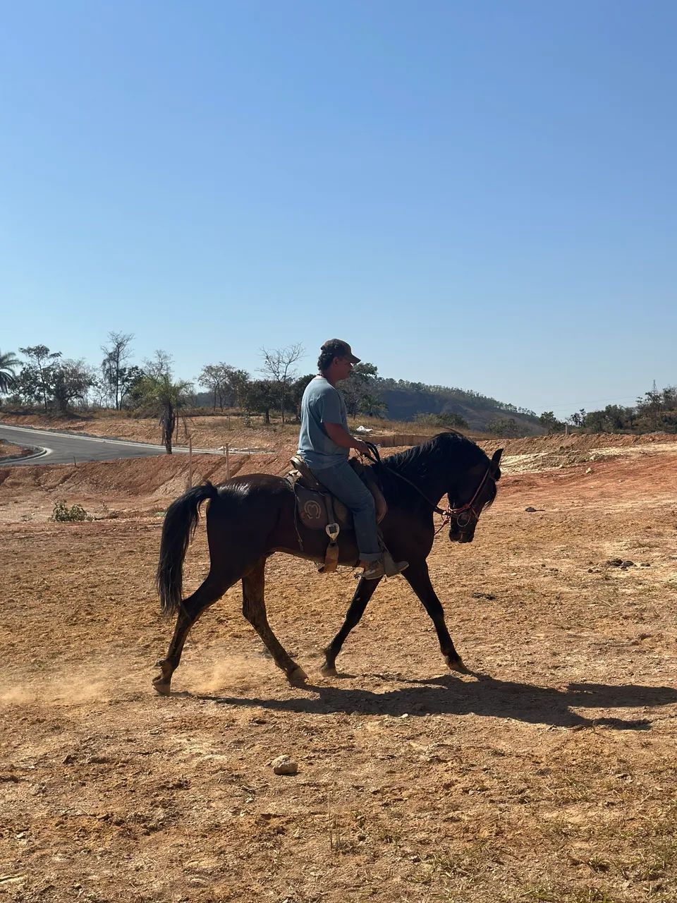 Cavalo Manga Larga Marchador - Foto 3