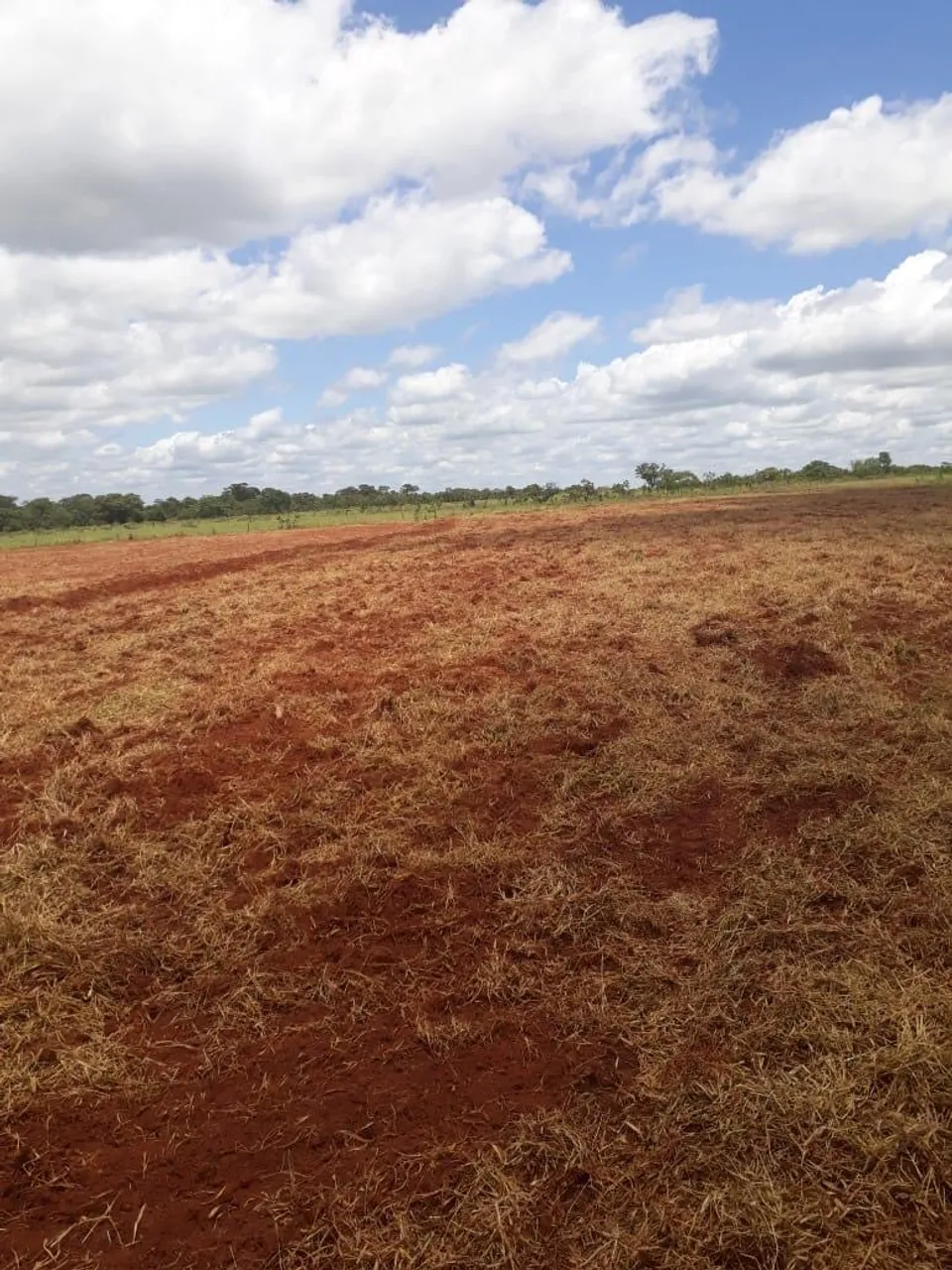 Vendo 43 Hectares sidrolandia assentamento eldorado 1