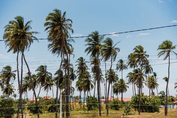 Casa  - Foto 5