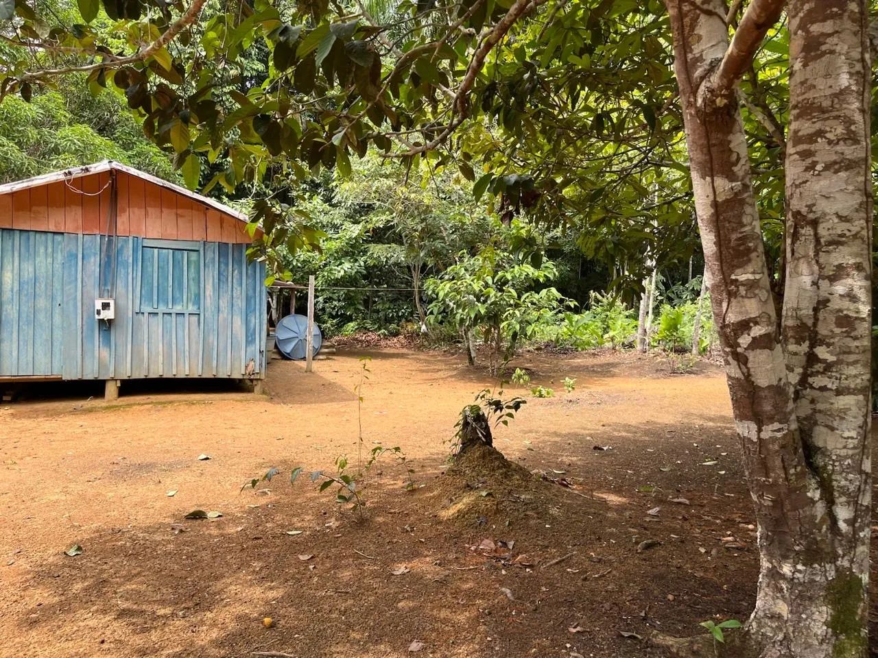 Vendo/Troco sítio no purupuru com 2 casas de madeira e garapé no quintal 