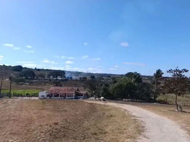 Fazenda em Garanhuns/PE à Venda (FA0134-PV)