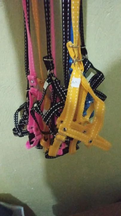 Coleiras top tradicional peitoral e guia  - Foto 3