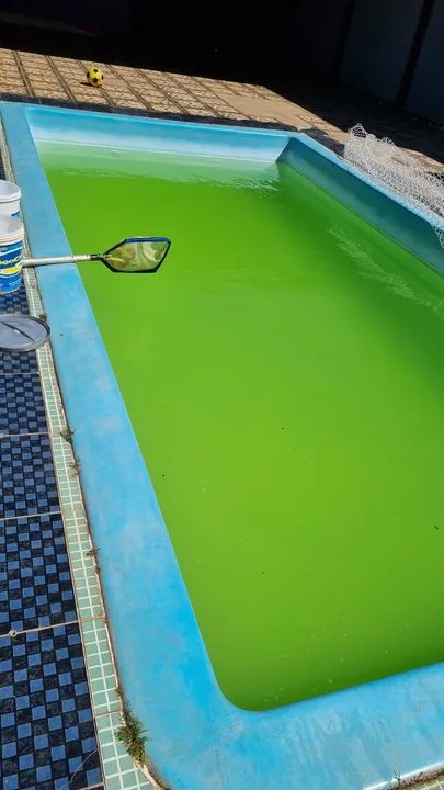 Limpeza de Piscinas  - Foto 3