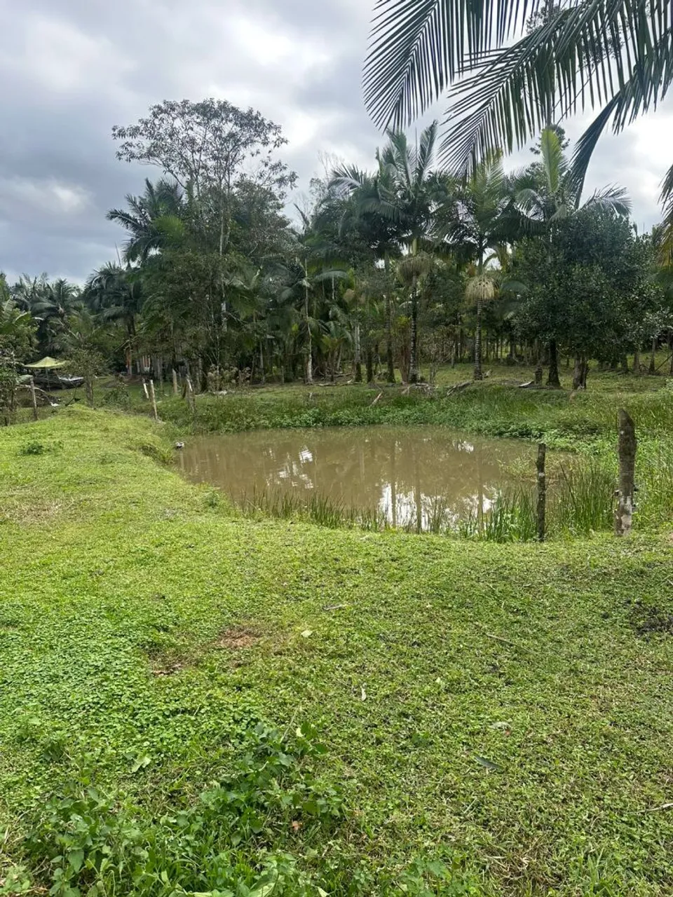 Linda chácara em Garuva SC com 6mil metros