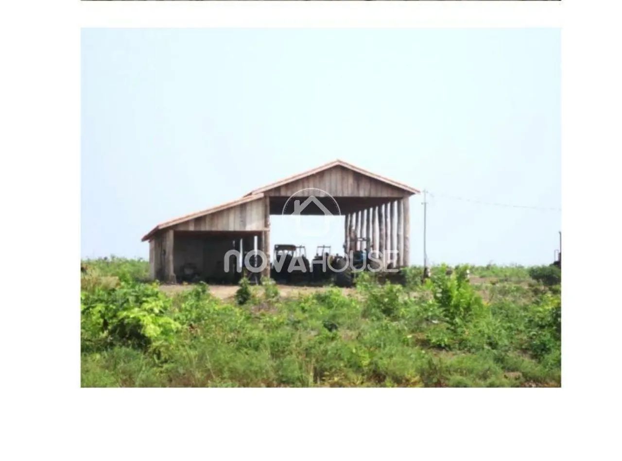 FAZENDA PARA PECUÁRIA E AGRICULTURA | 4.500 HEC. - Foto 3