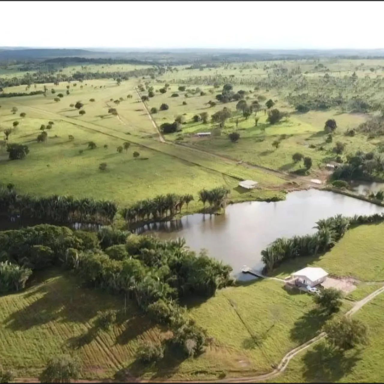 Fazenda a venda permuta  - Foto 3