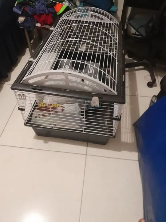 Gaiola de luxo  - Foto 2