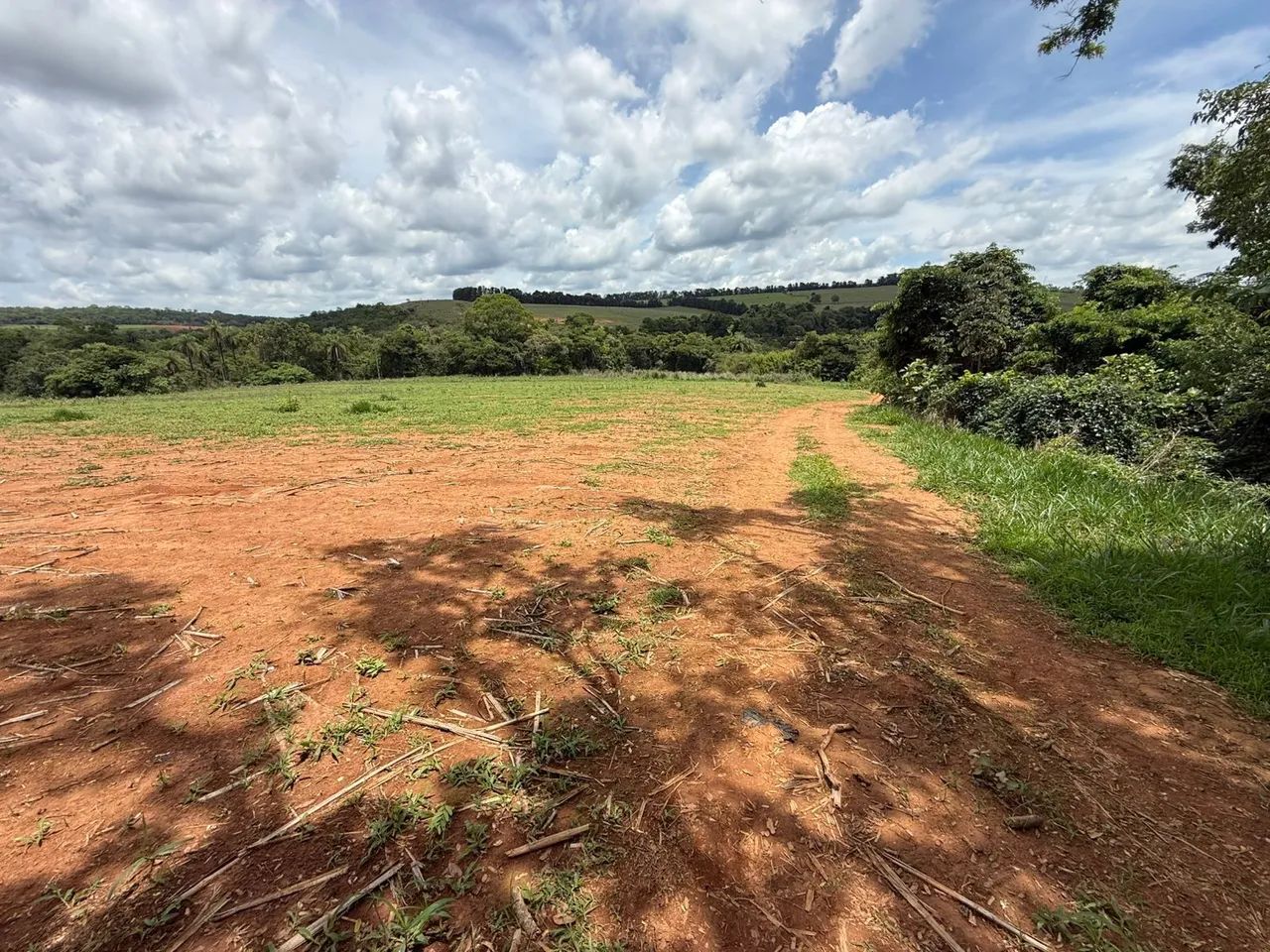 Terreno de 20 mil metros com casinha simples  - Foto 5