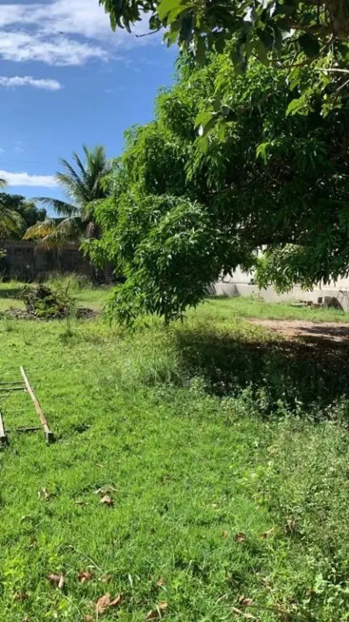Terreno à venda, 450 m² por R$ 170.000,00 - Jaconé - Saquarema/RJ - Foto 2