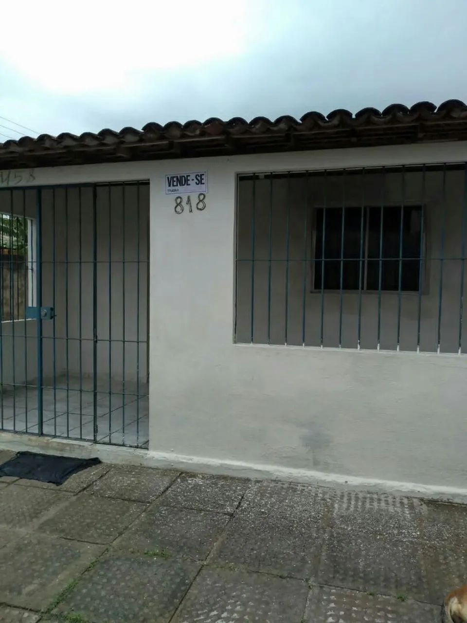 Foto - Paulista - Artur Lundgren I