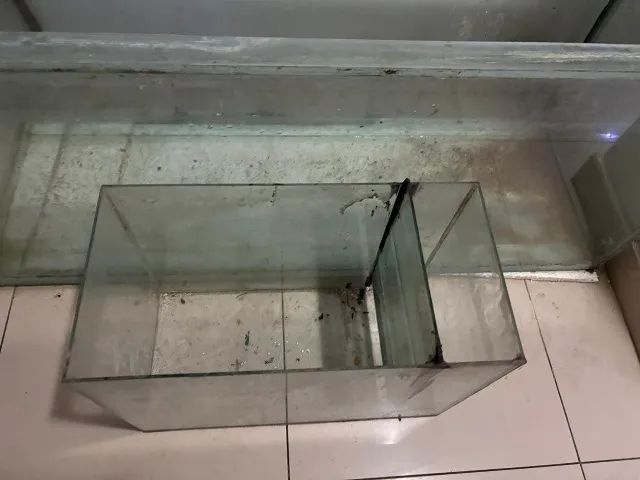 Aquário de Vidro - Foto 2