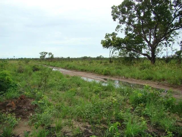 Fazenda em São Bernardo do Maranhão - Foto 5