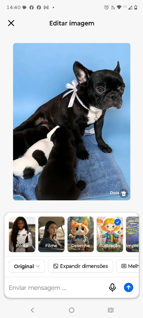 Cachorro 