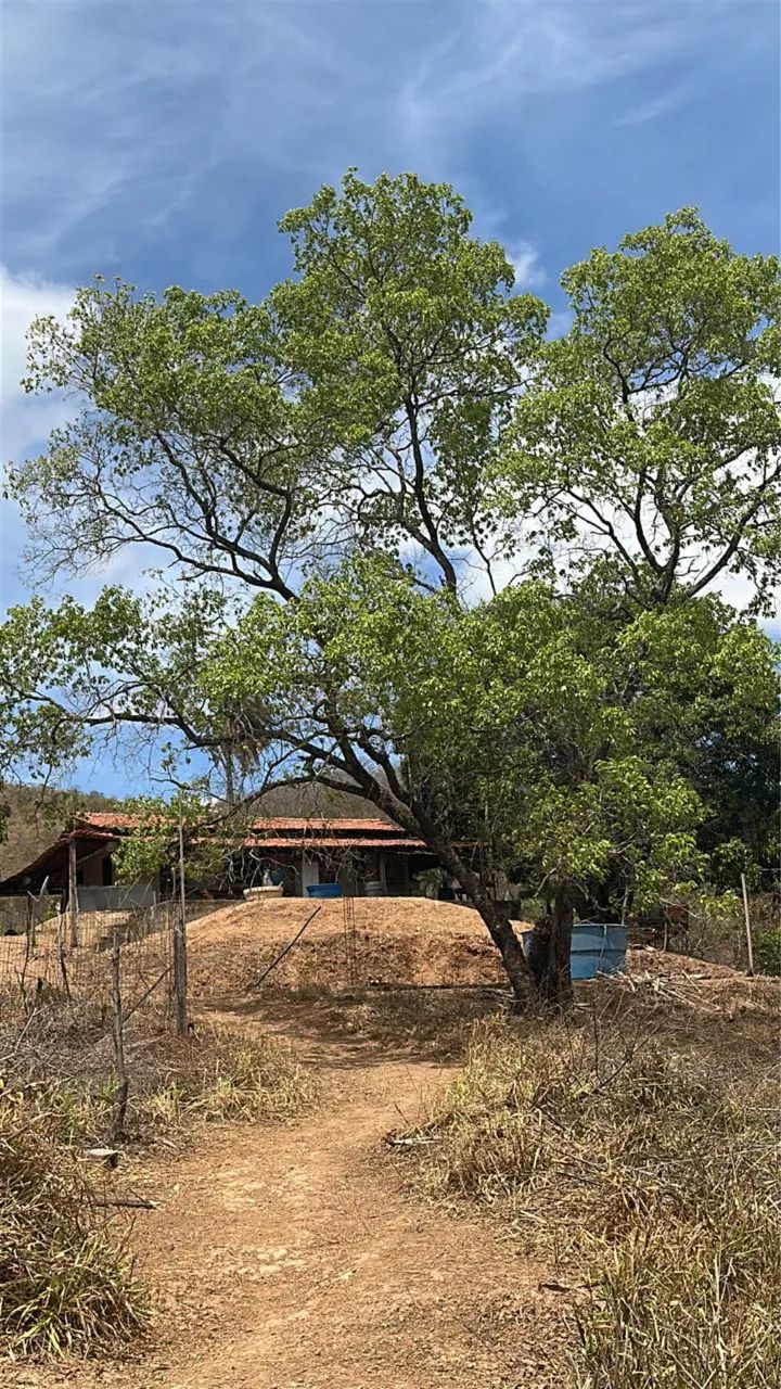 Vende-se sítio em Jaboticatubas/MG  - Foto 3