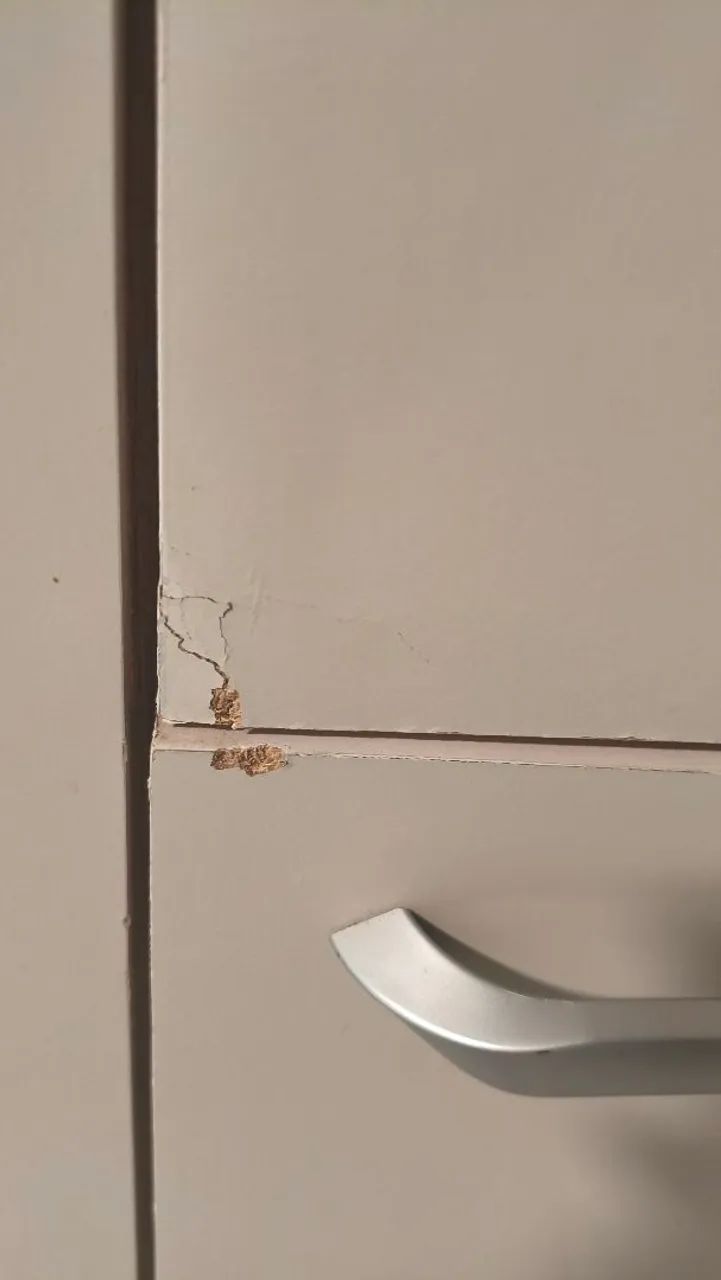 Armário de cozinha  - Foto 3