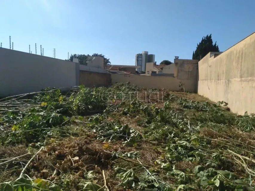 Terreno À Venda Centro Arapongas - Foto 3