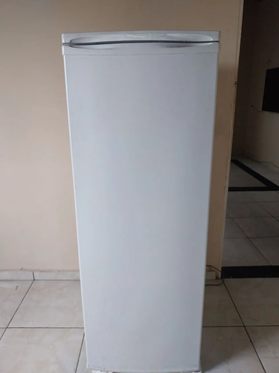 Freezer Horizontal 