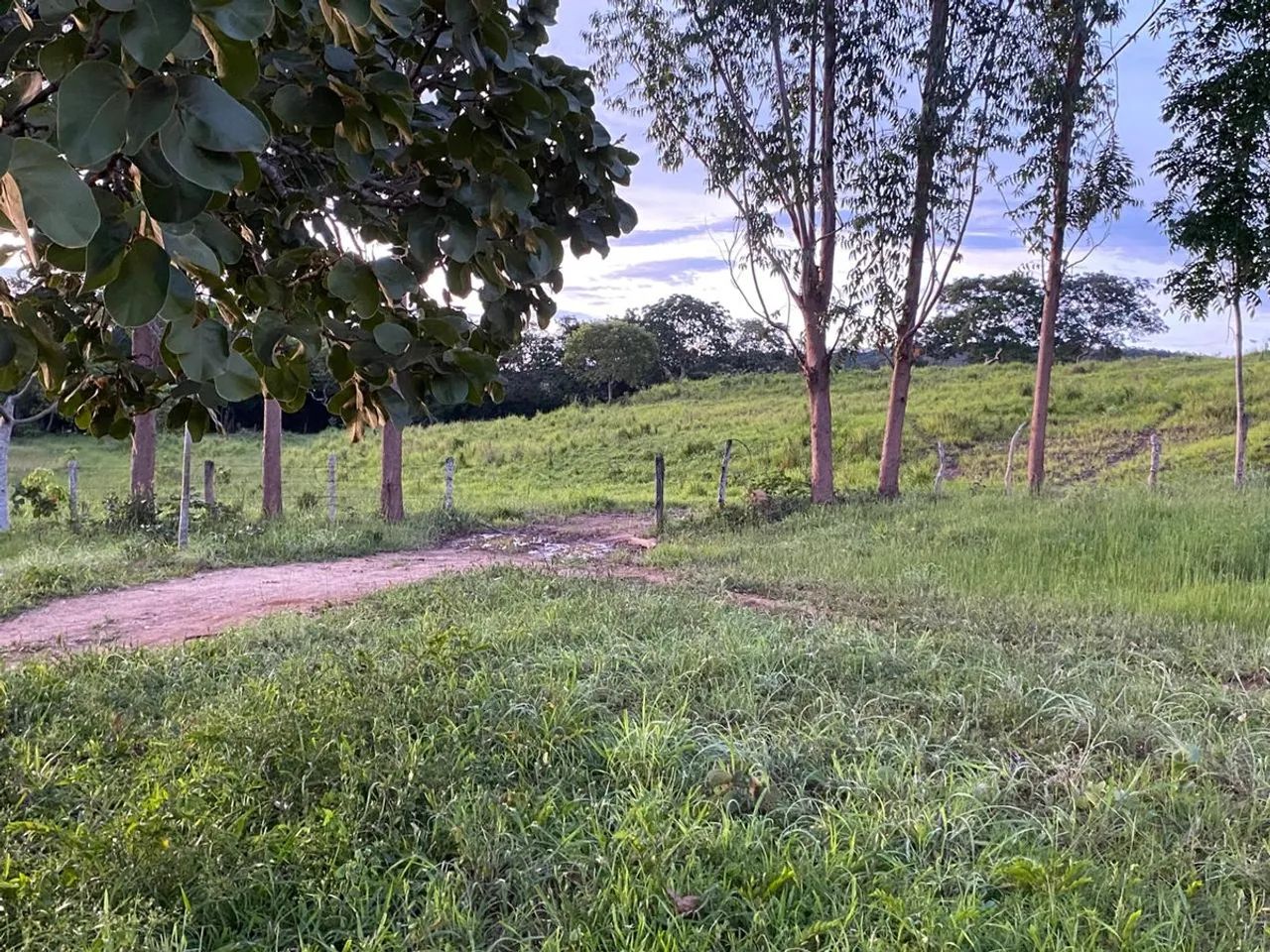 Imóvel rural no Zona Rural em Mara Rosa