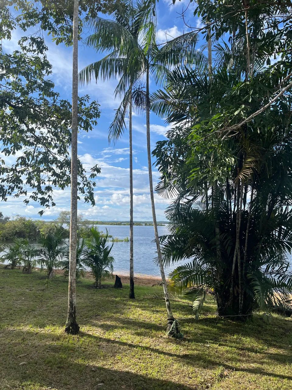 SÍTIO À VENDA NO RIO MANACAPURU - Foto 5