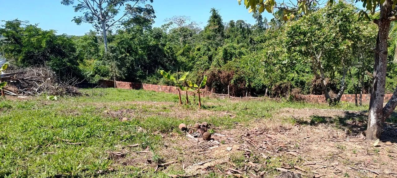 Vende-se essa Chácara - Foto 4
