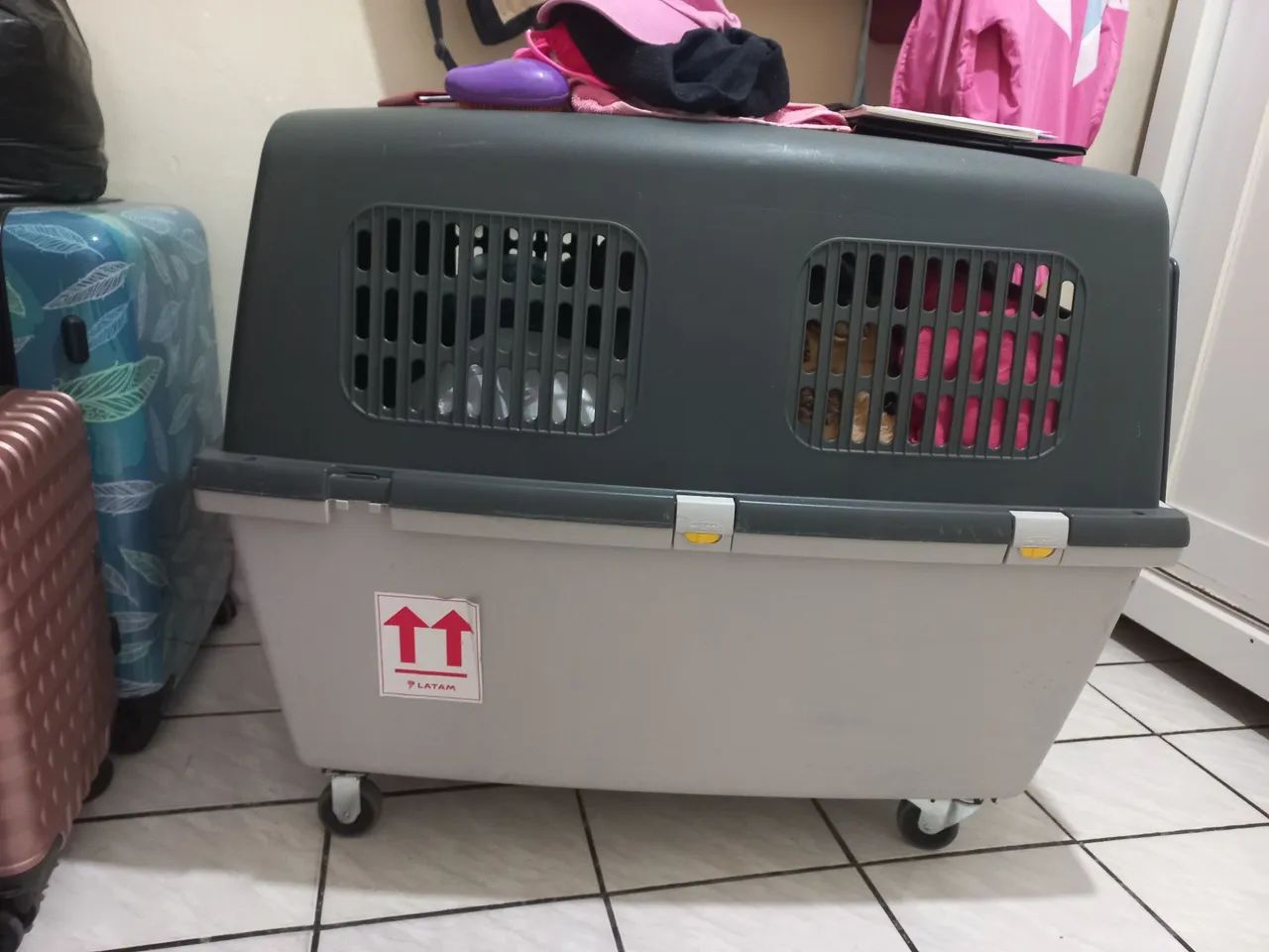 Caixa de transporte PET - Foto 3