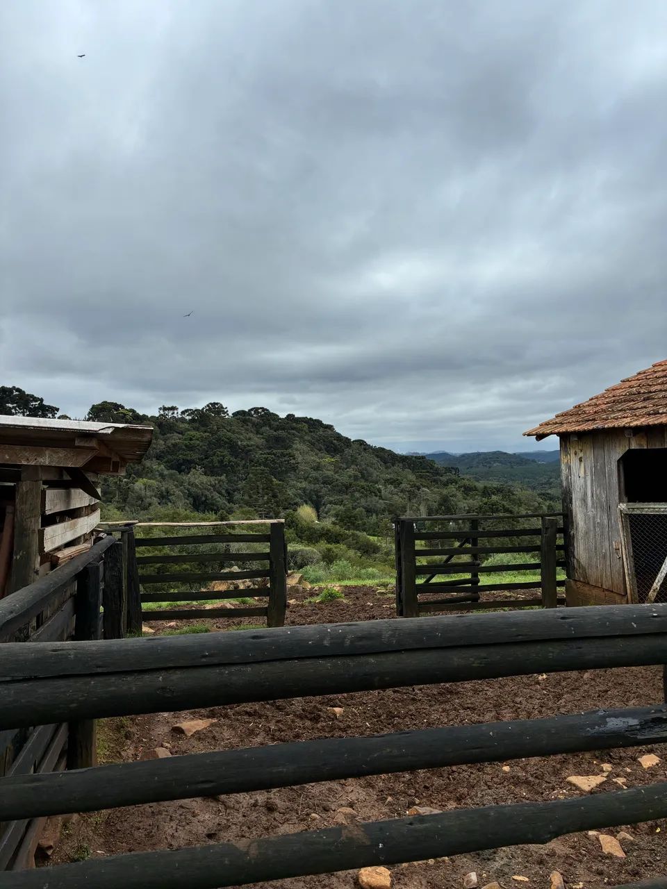 Sítio à venda  - Foto 4