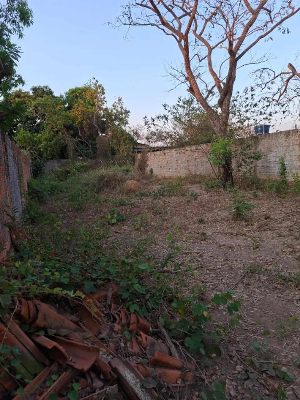Terreno 10 X 30 - Foto 4