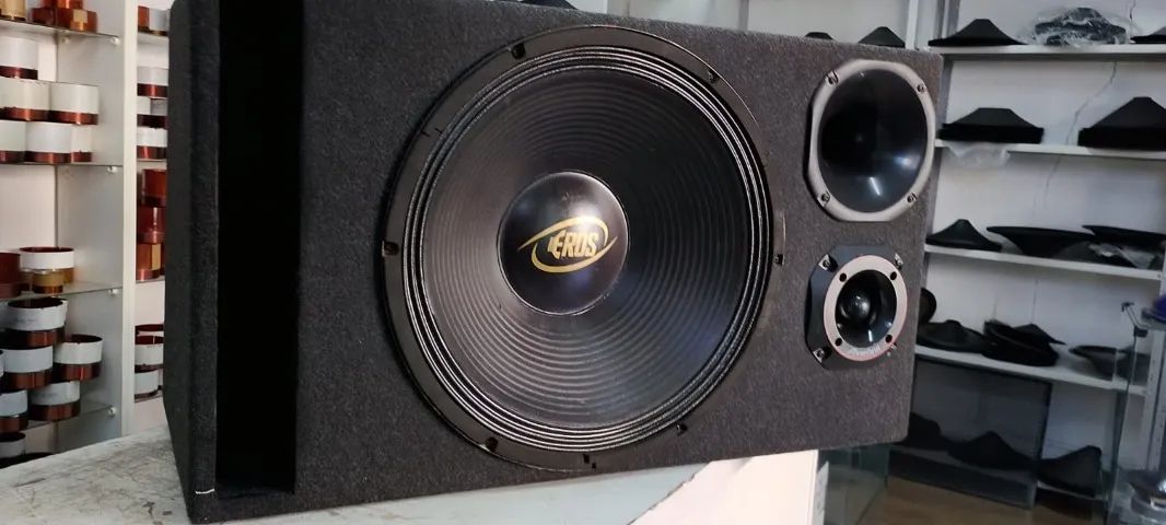 CAIXA TRIO EROS 500RMS 15 POL