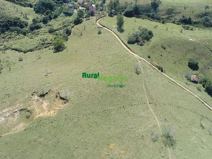 FAZENDA FORMADA PRÓXIMA A CIDADE DE CRUZEIRO  SP - Foto 5