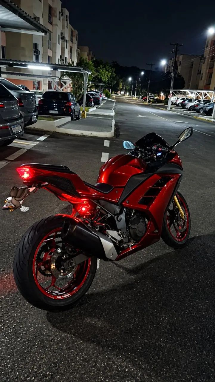 Kawasaki Ninja 300
