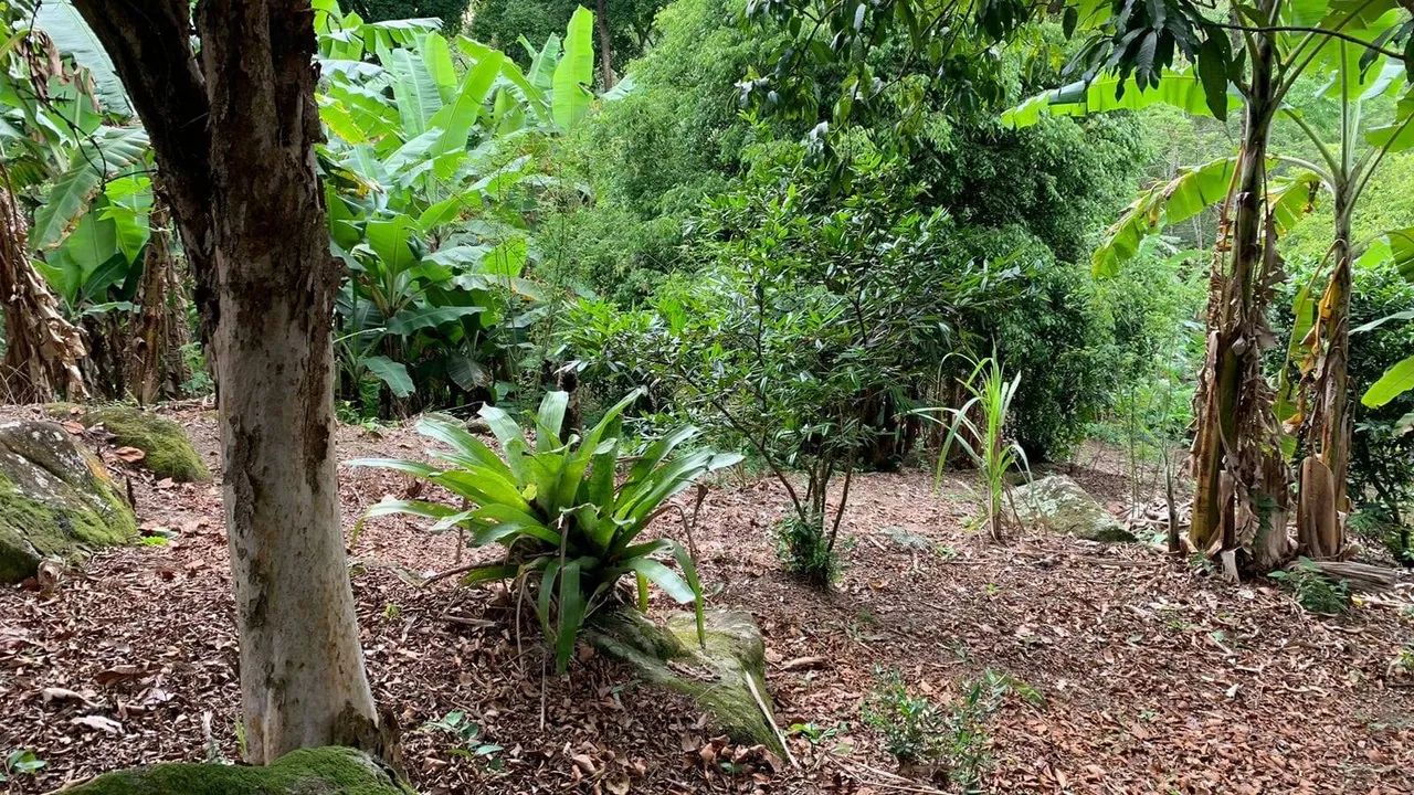 Belíssimo Sítio em Bicuda Grande - Macaé/RJ - Foto 3
