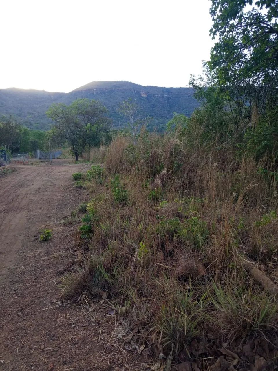 Lote próximo ao limpão, 7 km da cidade chácara
