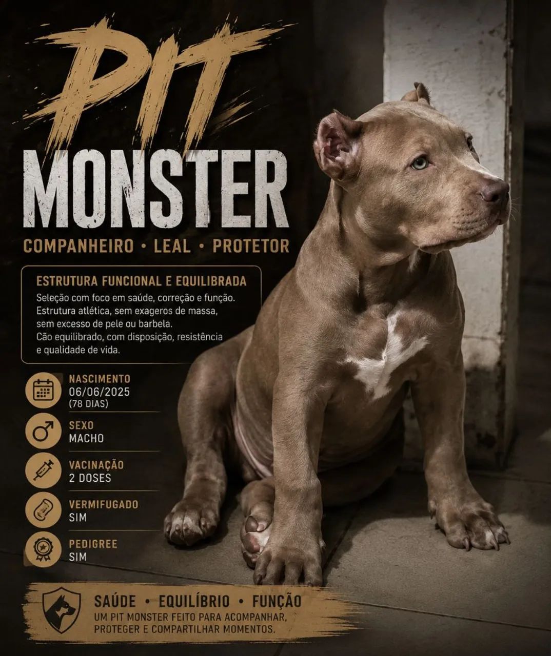 Filhote pit monster - Foto 2