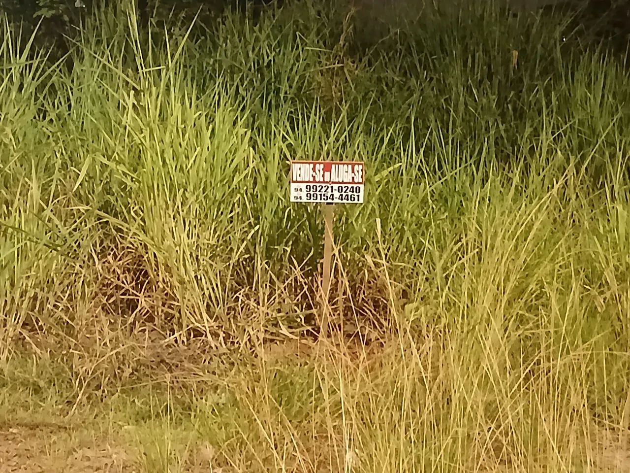 VENDO OU ALUGO - Foto 2