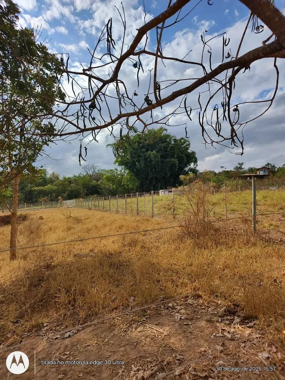 Chácara na Gameleira de Goiás - Foto 4