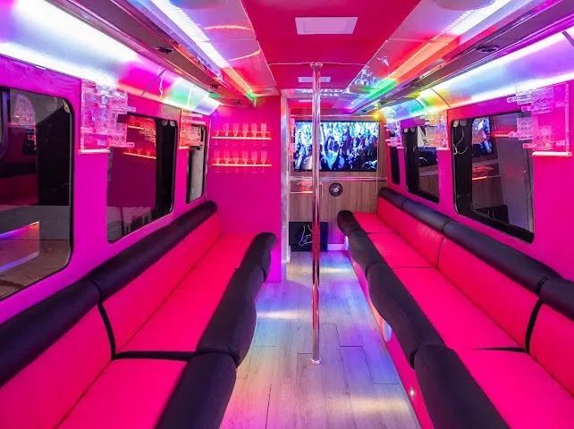 Vendo ônibus limo  - Foto 3