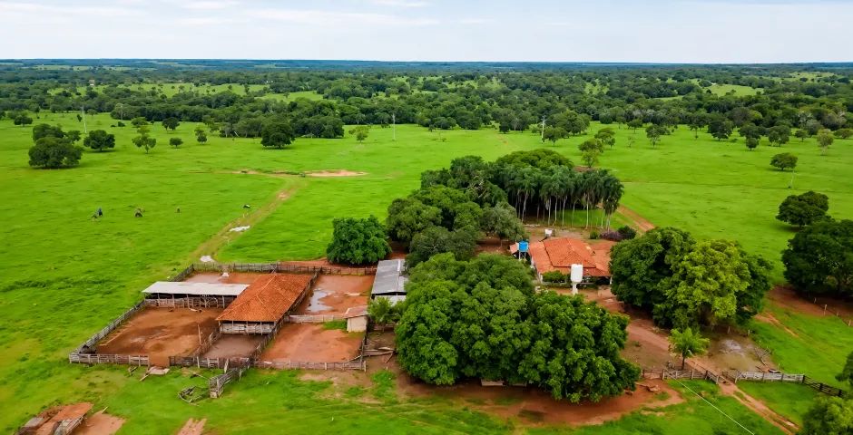 Fazenda - Foto 5