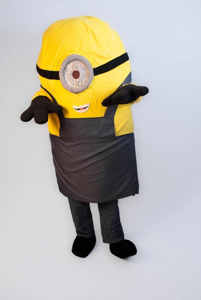 Fantasia Minion  - Foto 2