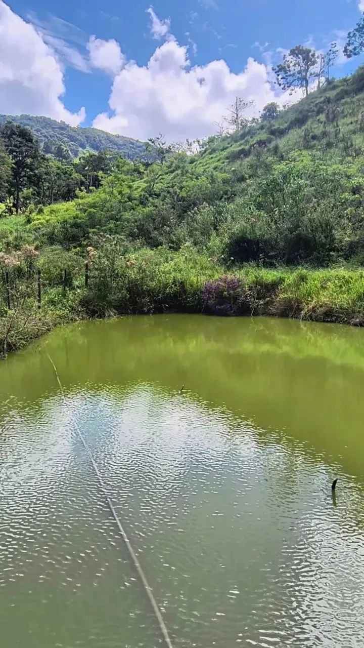 Sítio bairro Selado Paraibuna com 242000 m2 - - Foto 3