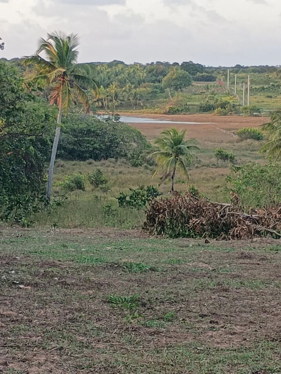 Sítio com localização privilegiada! - Foto 3