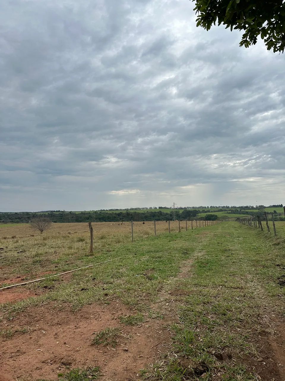 Chácara proximo a cidade 2.12 hectares - Foto 2