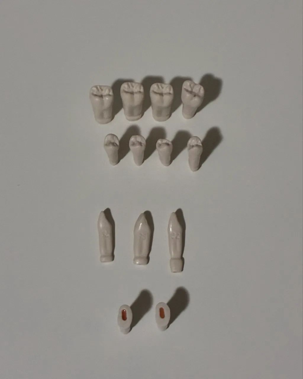 Vendo dentes hígidos de plástico para manequim de prótese fixa (MOM)