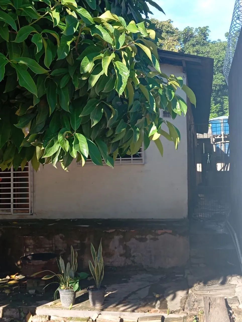 Vendo terreno com duas casas  - Foto 4